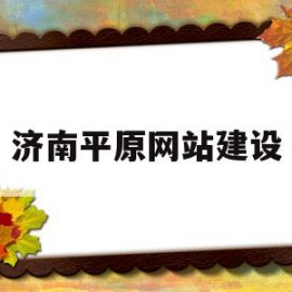 济南平原网站建设(山东平原政府招标网)