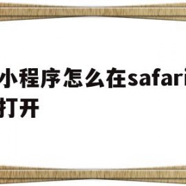 小程序怎么在safari打开(小程序怎么打开网页)