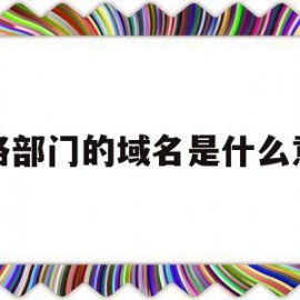 网络部门的域名是什么意思(网络部门的域名是什么意思啊)