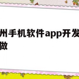 杭州手机软件app开发怎么做(杭州app制作开发一般是什么流程)