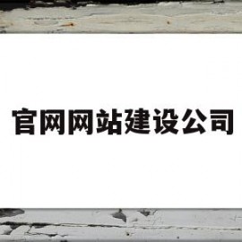 官网网站建设公司(网站建设 科技公司)