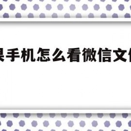 苹果手机怎么看微信文件图片(苹果手机怎么查看微信里面的图片)