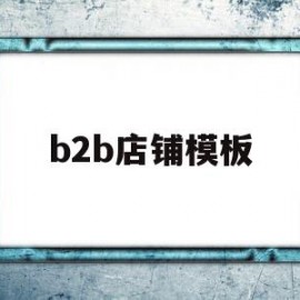 b2b店铺模板(b2b店铺是什么)