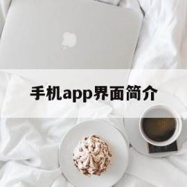 手机app界面简介(手机app界面简介怎么写)