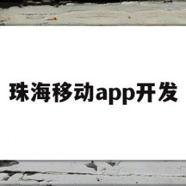 珠海移动app开发(珠海移动app开发商)