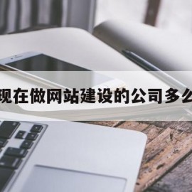 现在做网站建设的公司多么(网站建设公司怎么盈利)