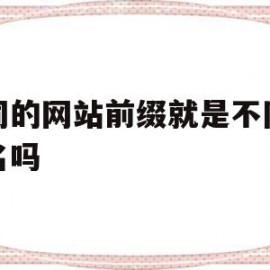 包含不同的网站前缀就是不同的域名吗的词条