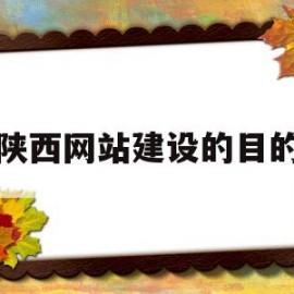 陕西网站建设的目的(网站建设的目的是什么)