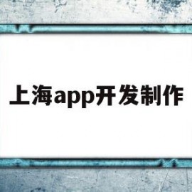 上海app开发制作(上海app开发定制公司)