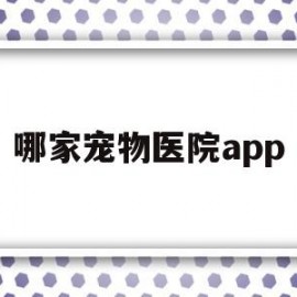 哪家宠物医院app(哪家宠物医院做绝育好)