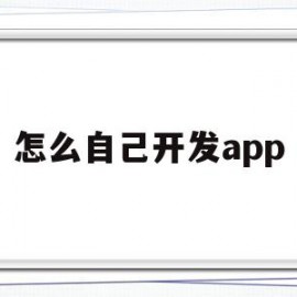 怎么自己开发app(怎么开发自己的小程序)