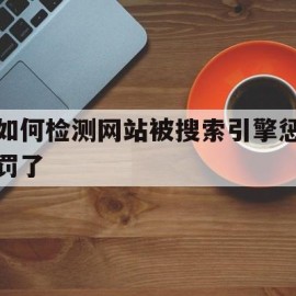 如何检测网站被搜索引擎惩罚了(如何检测网站是否被搜索引擎惩罚了)