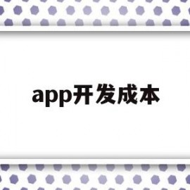 app开发成本(app开发成本预算表)