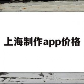 上海制作app价格(上海app制作开发公司)