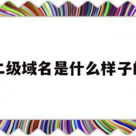 二级域名是什么样子的(二级域名是什么样子的啊)