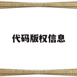 代码版权信息(版权代码怎么打)