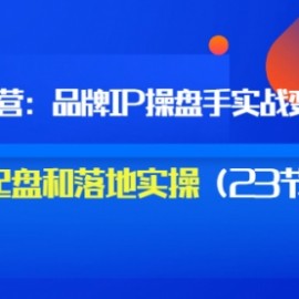 秒懂代运营：品牌IP操盘手实战赚钱，0-1起盘和落地实操（23节课程）价值199