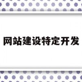 网站建设特定开发(网站开发建设的基本流程)