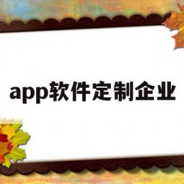 app软件定制企业(软件定制公司有没有发展)