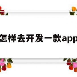 怎样去开发一款app(怎么开发一款app软件)