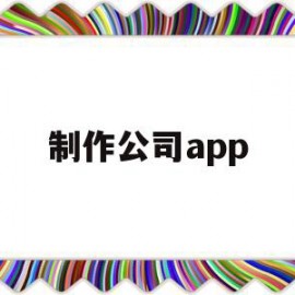 制作公司app(制作公司网站价格)