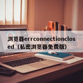 浏览器errconnectionclosed（私密浏览器免费版）