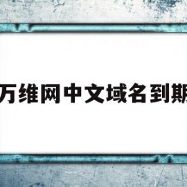 万维网中文域名到期(万维网中文域名到期怎么办)