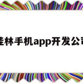 桂林手机app开发公司(桂林手机app开发公司排名)