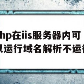 包含php在iis服务器内可以运行域名解析不运行的词条