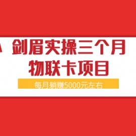 剑眉实操三个月物联卡项目，每月躺赚5000元左右