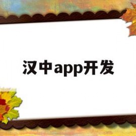 汉中app开发(西安app开发)