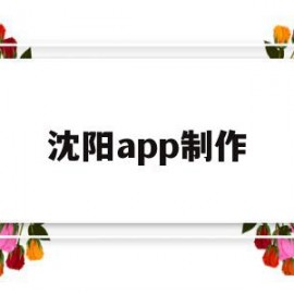 沈阳app制作(沈阳做app的公司有哪些)