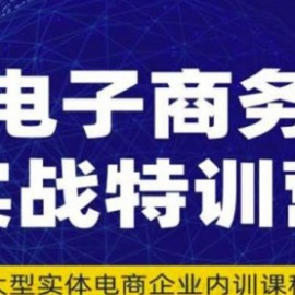 电子商务实战特训营，全方位带你入门电商，308种方式玩转电商