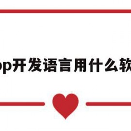 app开发语言用什么软件(app开发语言用什么软件好)