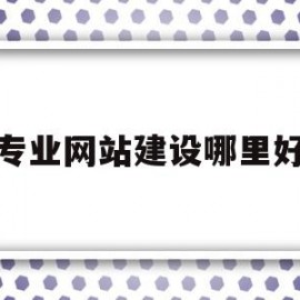 专业网站建设哪里好(网站建设哪家做得好一点)