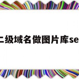 二级域名做图片库seo(二级域名建站教程)