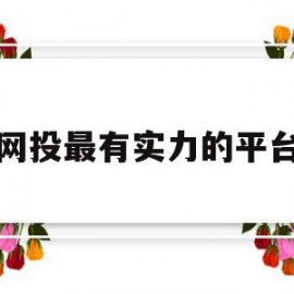 网投最有实力的平台(信誉最好的20个网投网站)