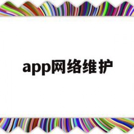 app网络维护(网络维护是干什么)