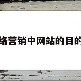 网络营销中网站的目的是(网络营销中网站的目的是什么)