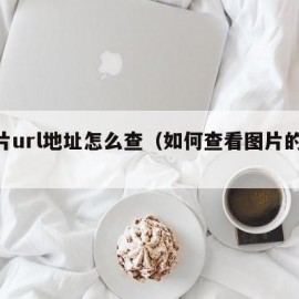 图片url地址怎么查（如何查看图片的url）