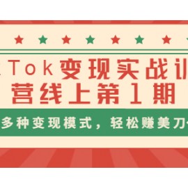 龟课TikTok变现实战训练营线上第1期，多种变现模式，轻松赚美刀