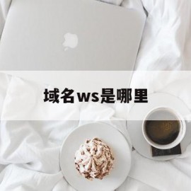 域名ws是哪里(ws是哪里的域名)