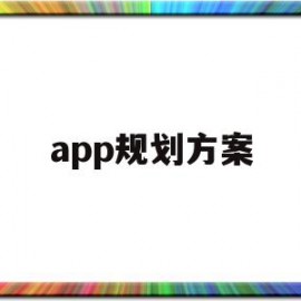 app规划方案(App规划方案怎么写)