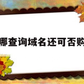 从哪查询域名还可否购买(从哪查询域名还可否购买商品呢)