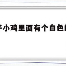 儿子小鸡里面有个白色的小粒(儿子小鸡里面 有个白色的)