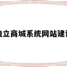 独立商城系统网站建设(b2c商城网站建设方案)