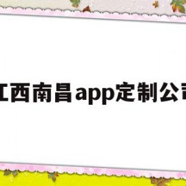 江西南昌app定制公司(南昌软件定制)