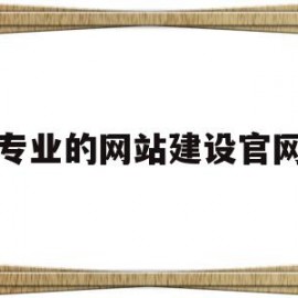 专业的网站建设官网的简单介绍