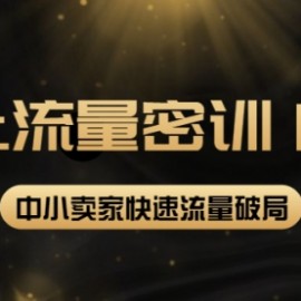 2022秋秋线上流量密训16.0：包含 暴力引流10W+中小卖家流量破局技巧 等等！