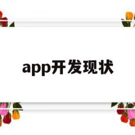 app开发现状(app开发市场分析)